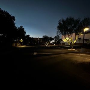 Meet your Posher, Skyy